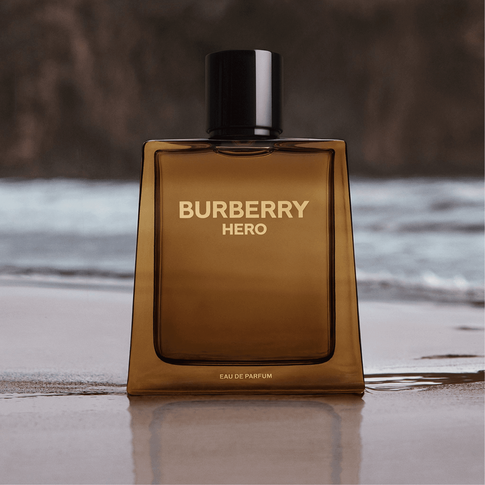 Burberry Hero