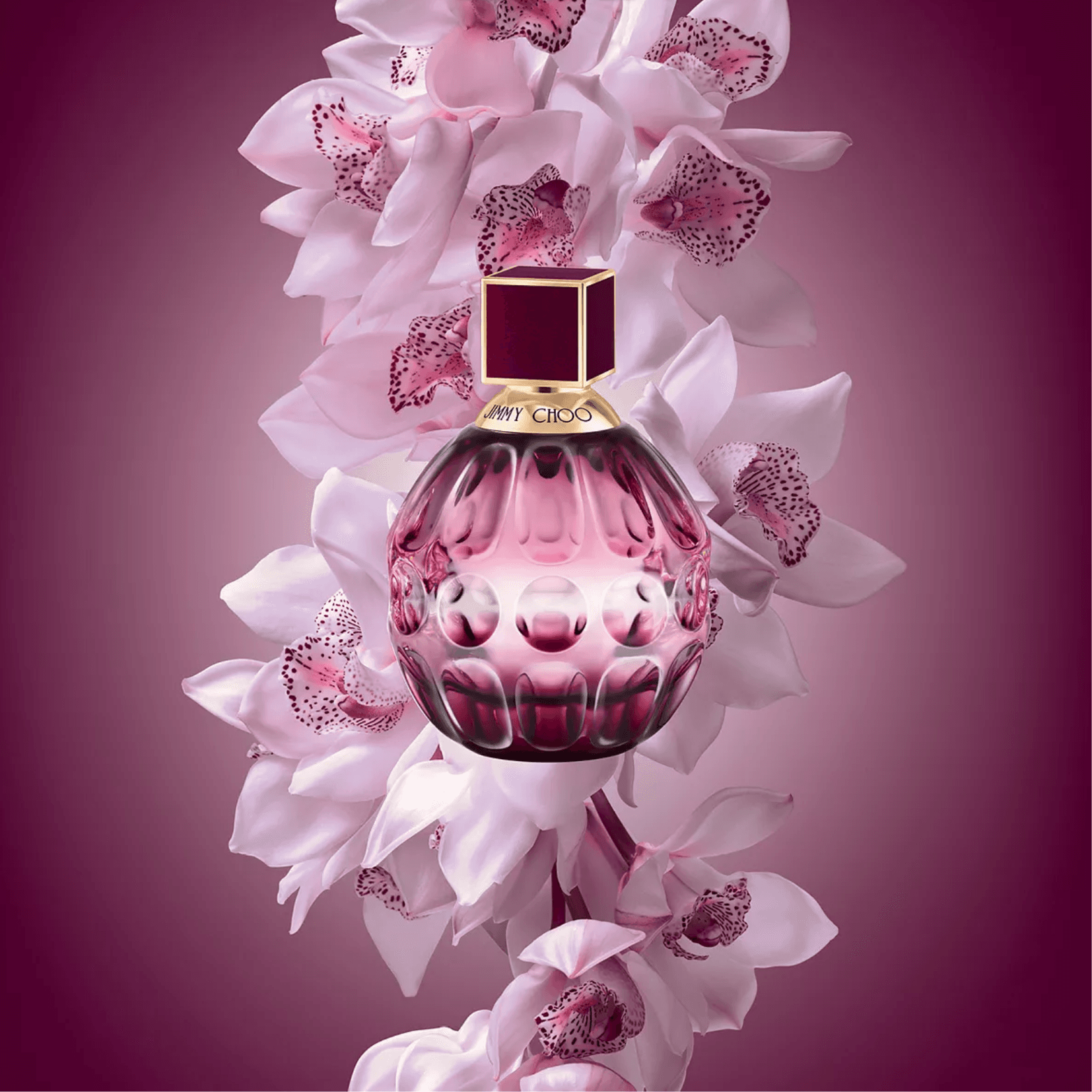 Jimmy Choo Fever
