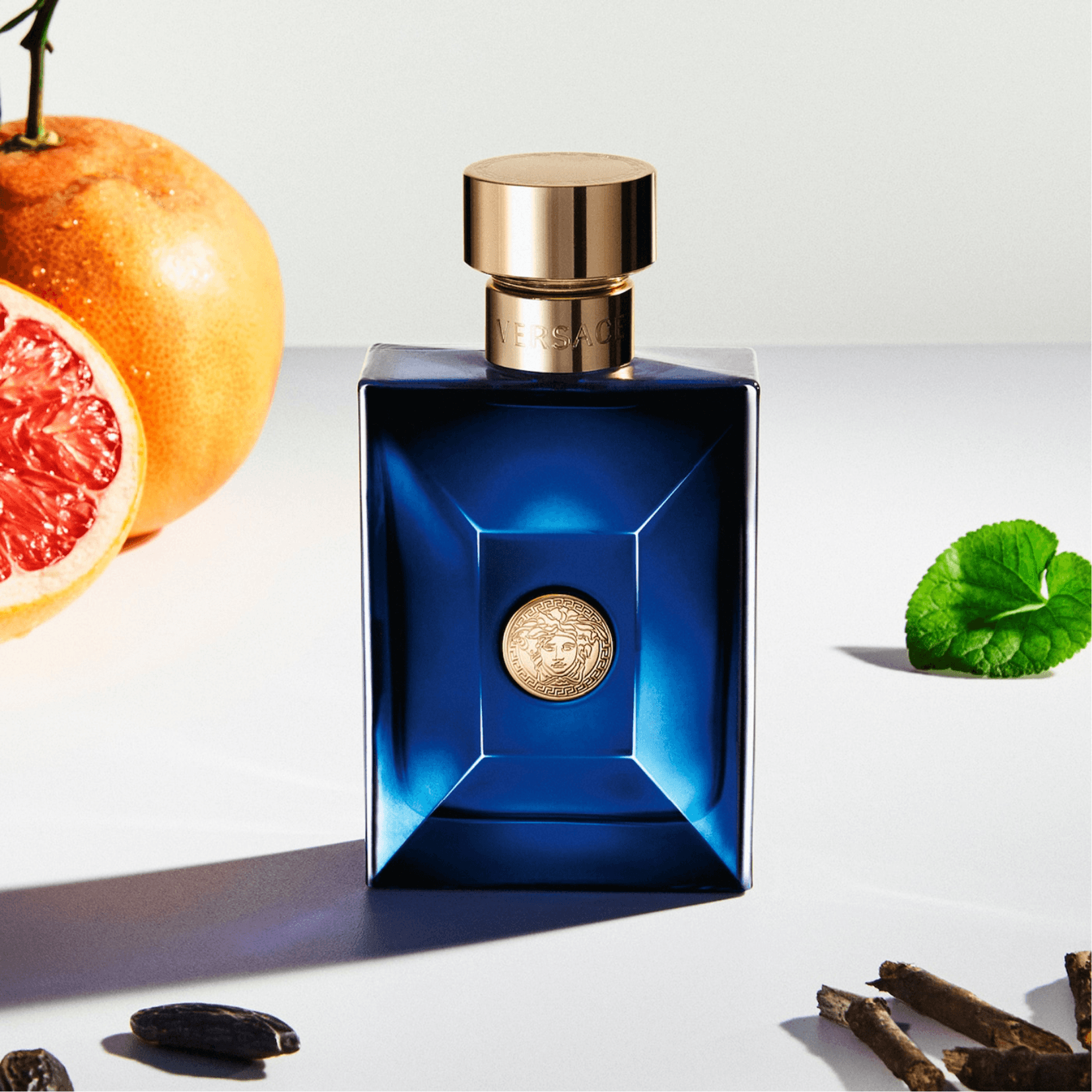 Versace Dylan Blue