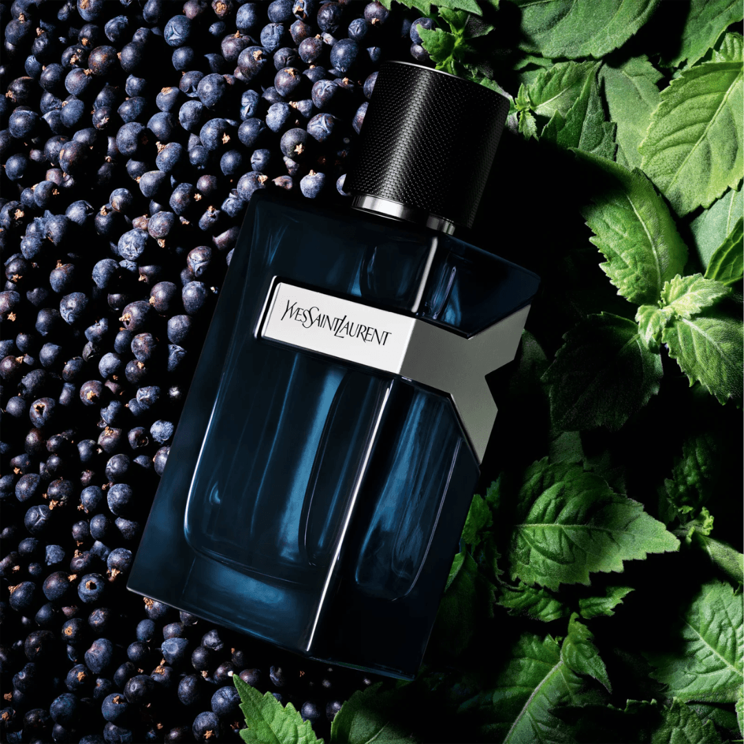 Yves Saint Laurent Y Intense