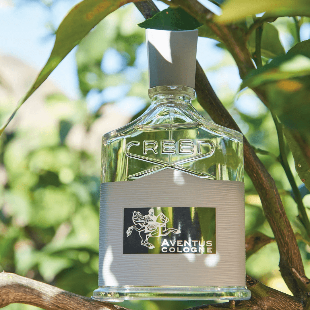 Creed Aventus Cologne