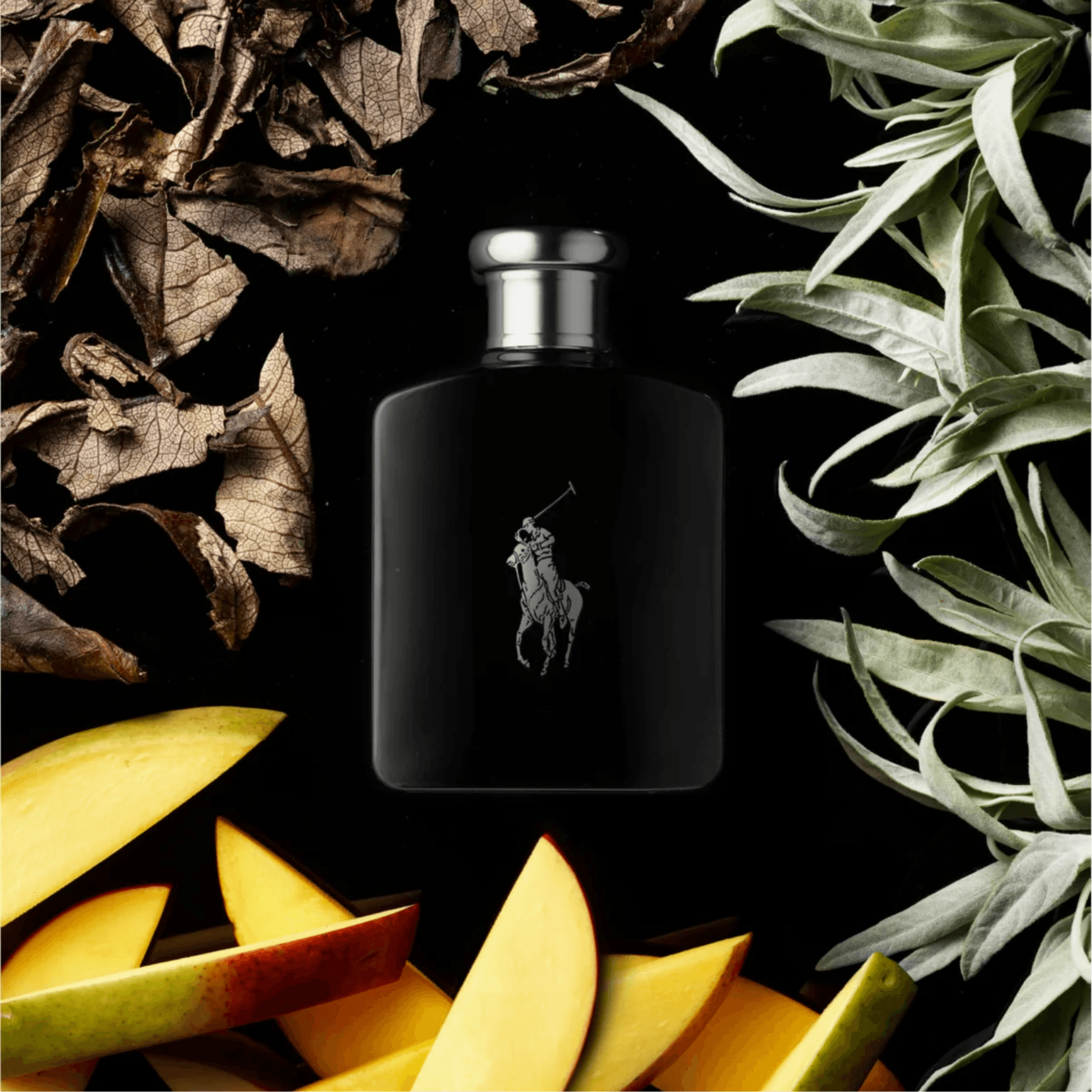 Ralph Lauren Polo Black
