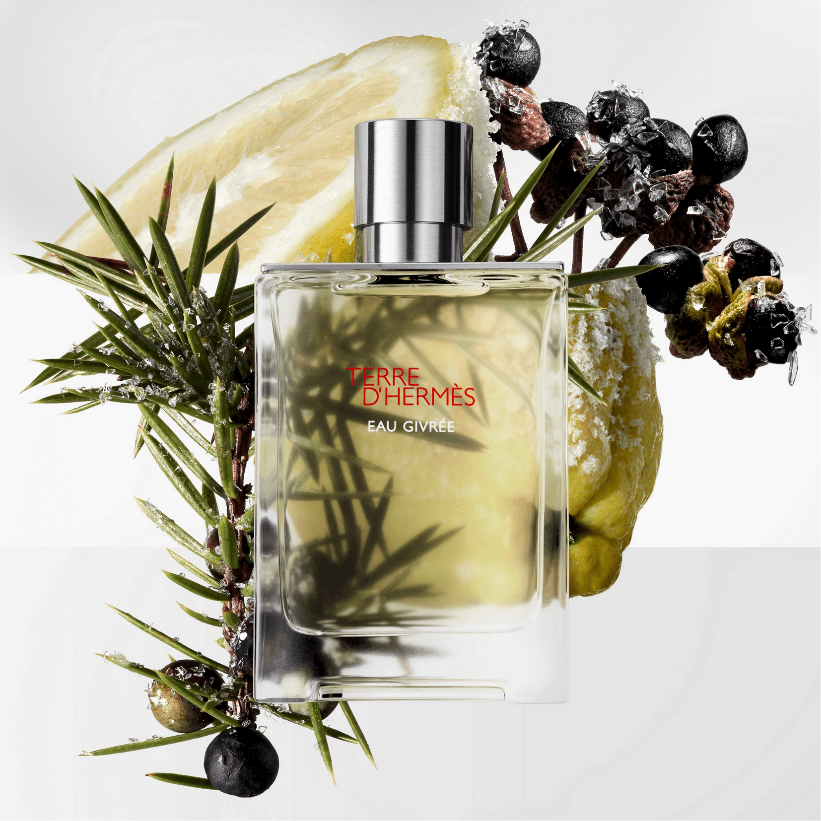 Hermes HERMÈS Terre d’Hermès Eau Givrée