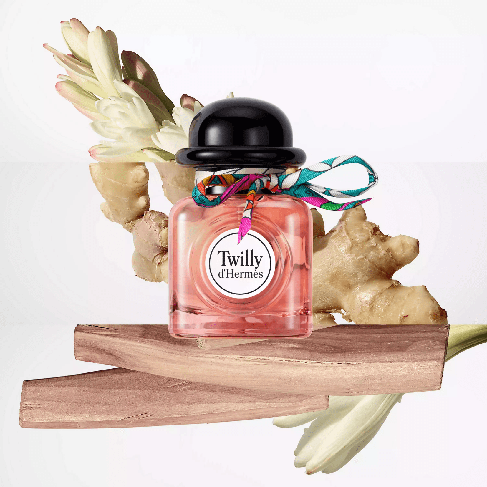 Hermes Twilly D'Hermes