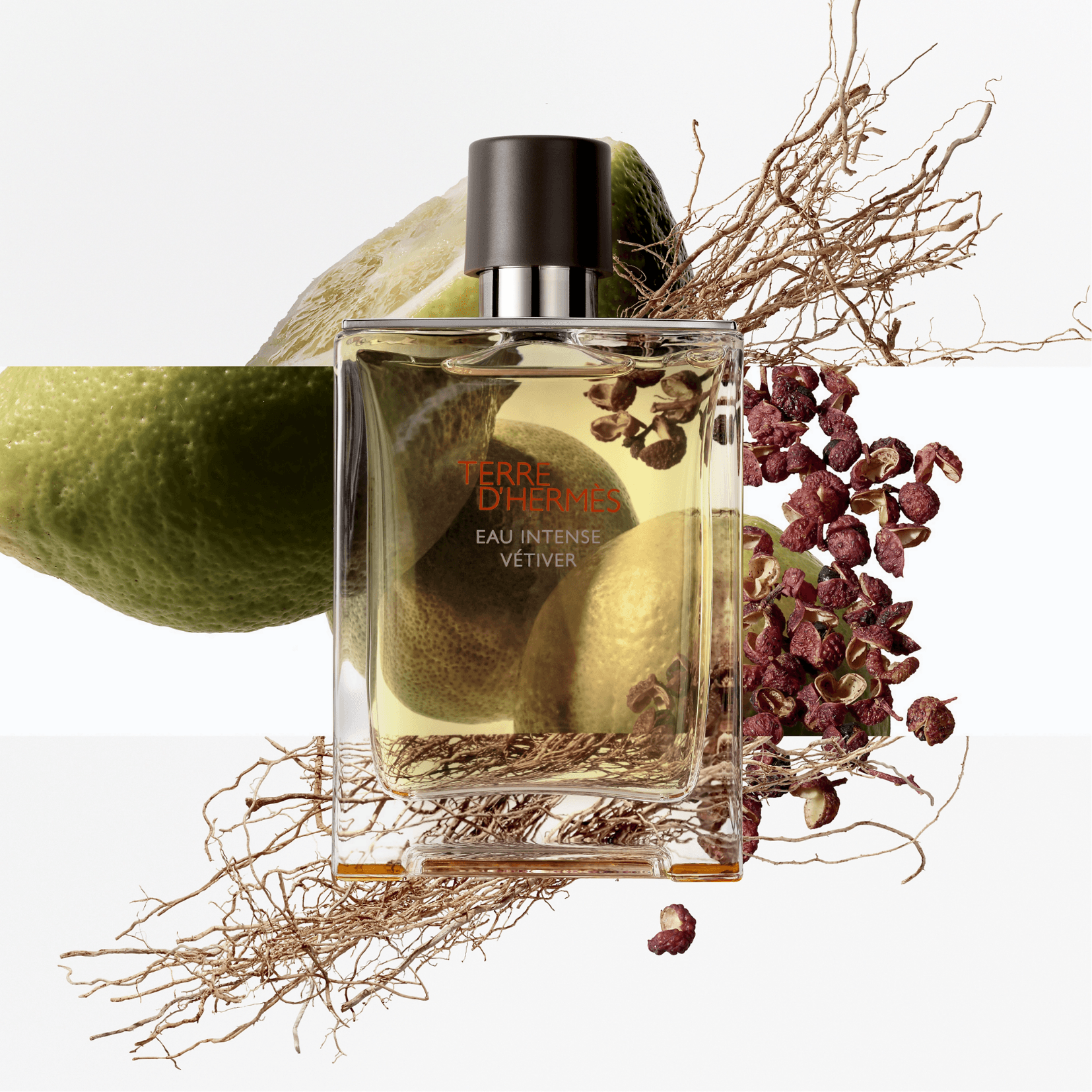 Hermes Terre de Hermes Eau Intense Vétiver