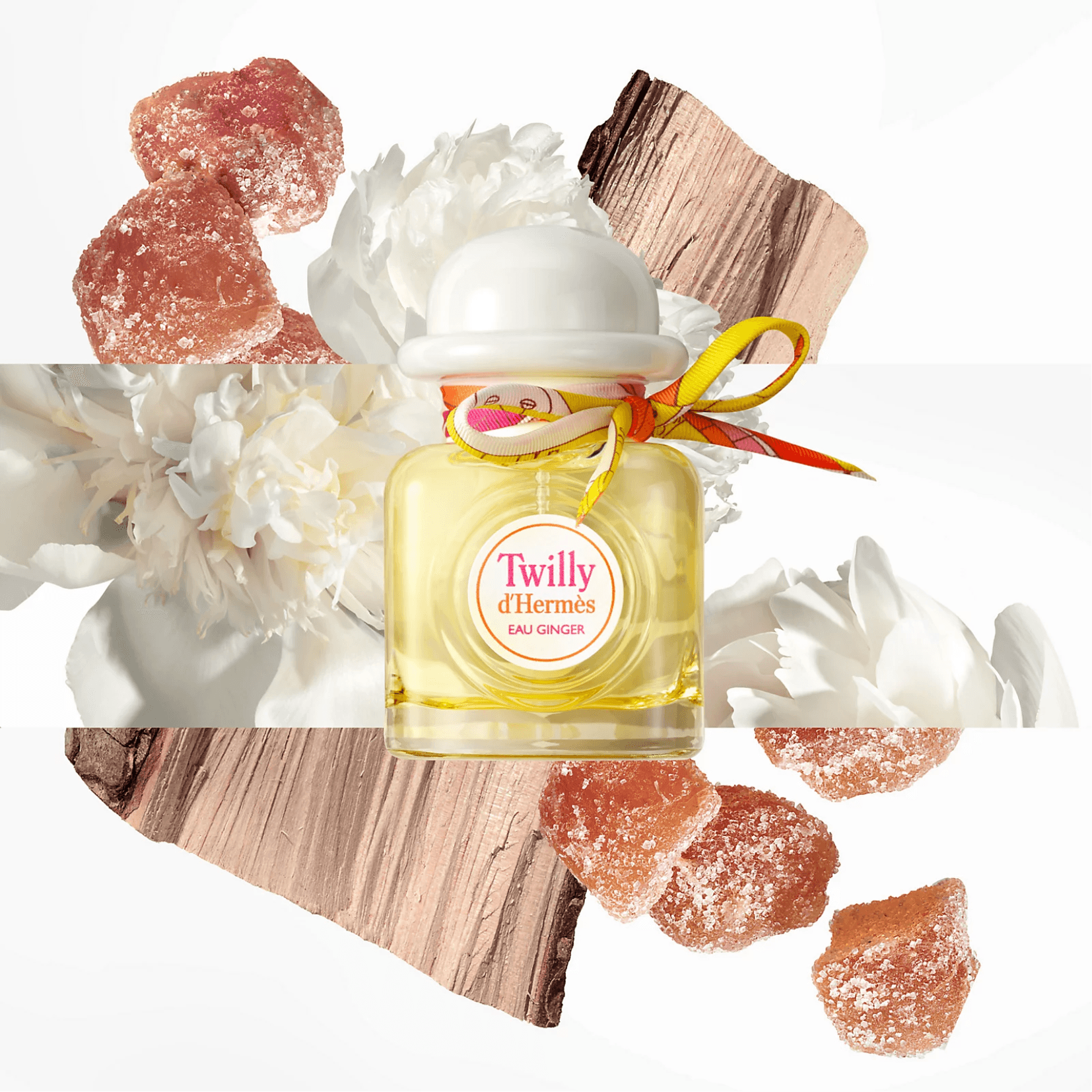 Hermes HERMÈS Twilly d’Hermès Eau Ginger