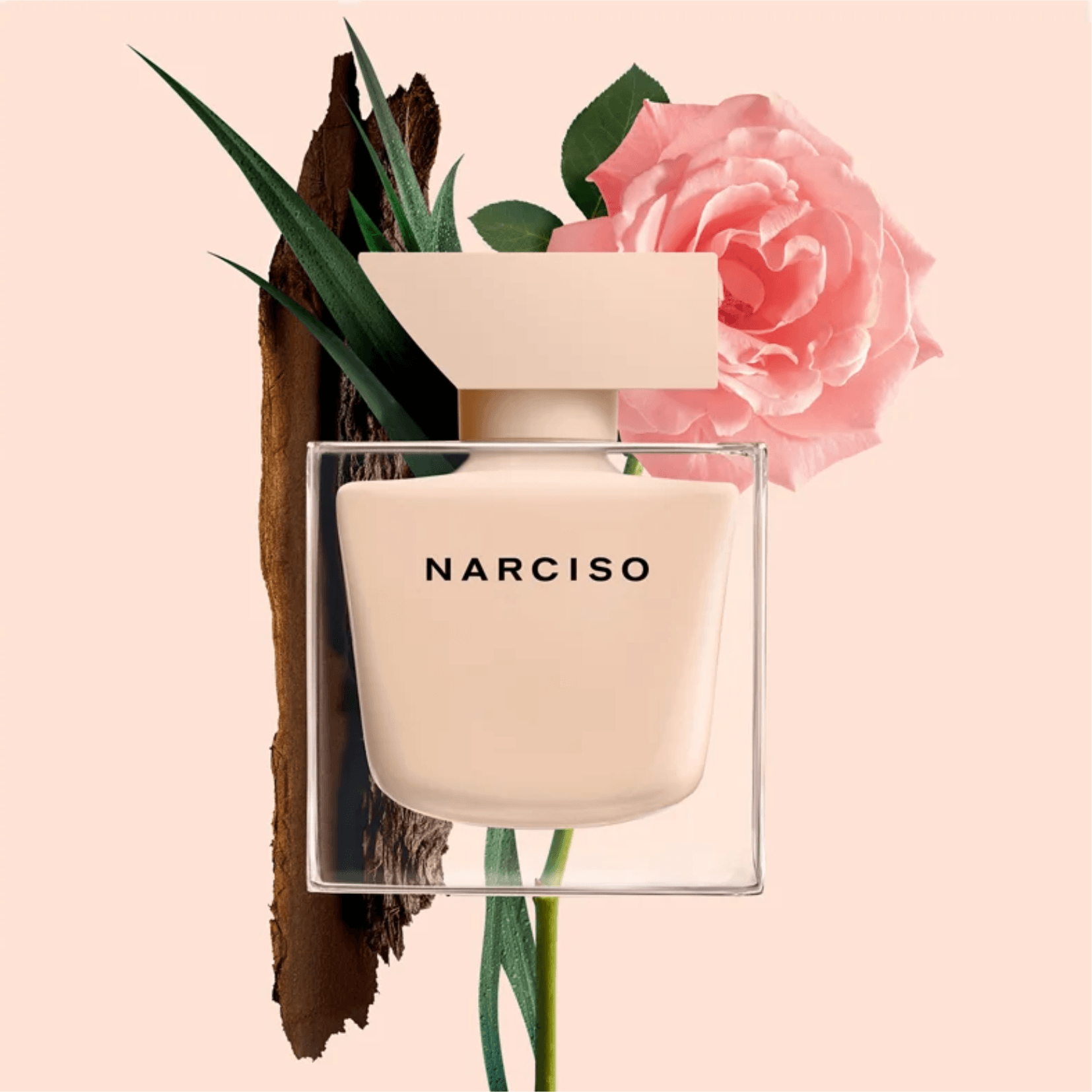 Narciso Rodriguez Narciso Poudrée
