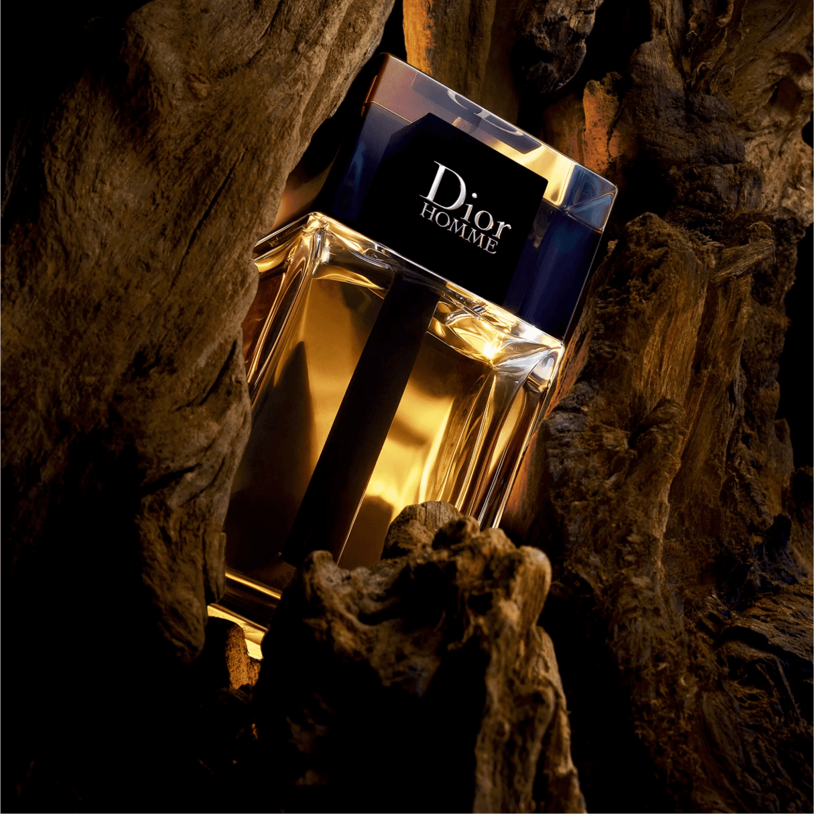 Christian Dior Dior Homme