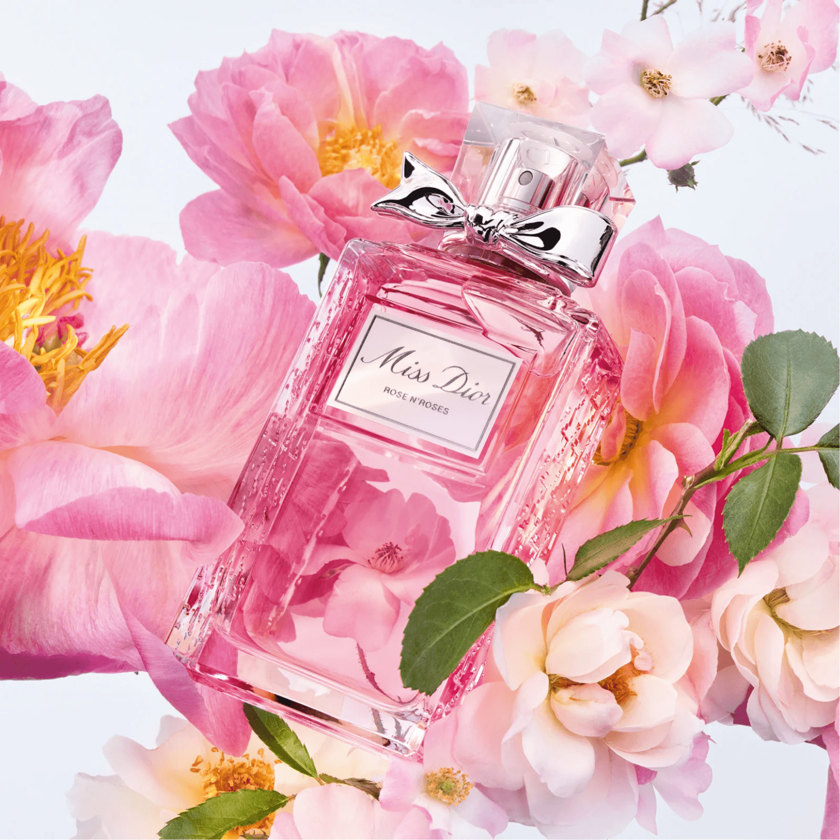 Christian Dior DIOR Miss Dior Rose N'Roses