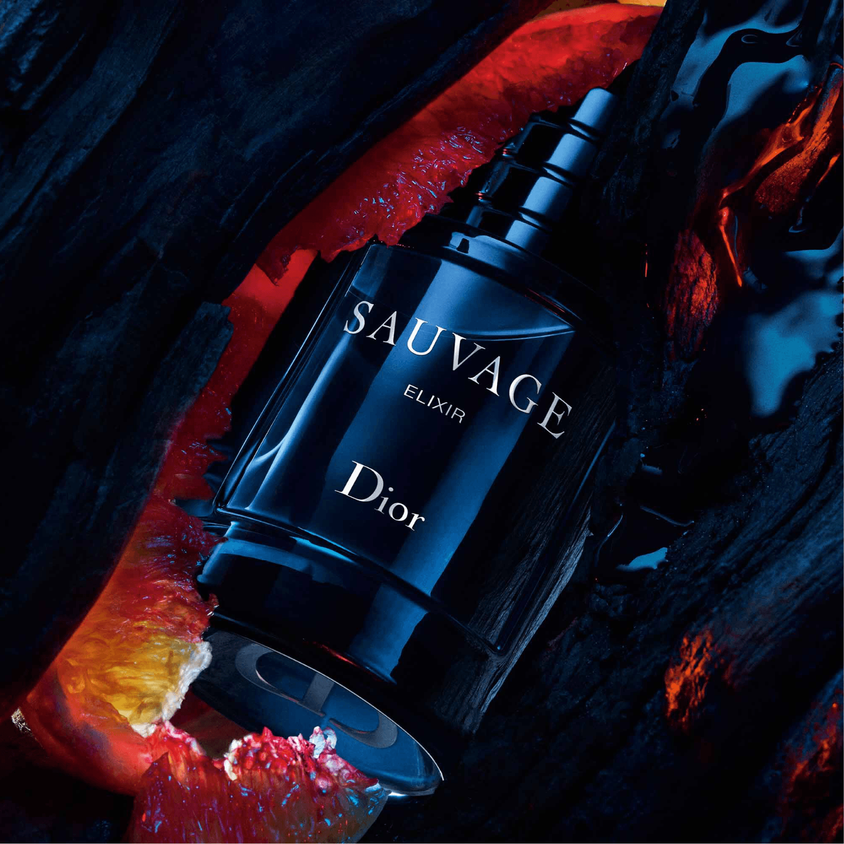Christian Dior Dior Sauvage Elixir