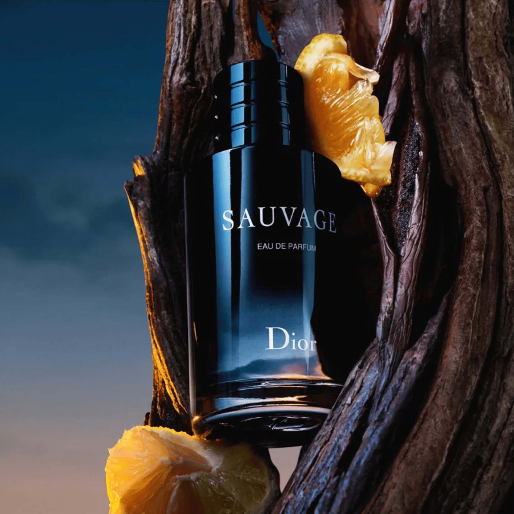 Christian Dior Dior Sauvage