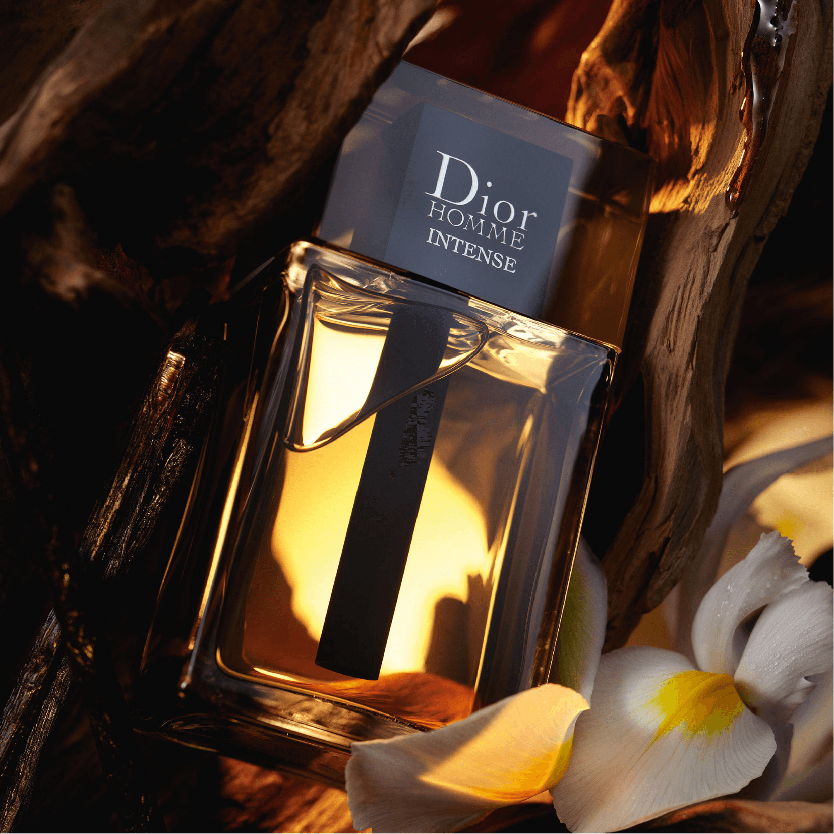 Christian Dior Dior Homme Intense