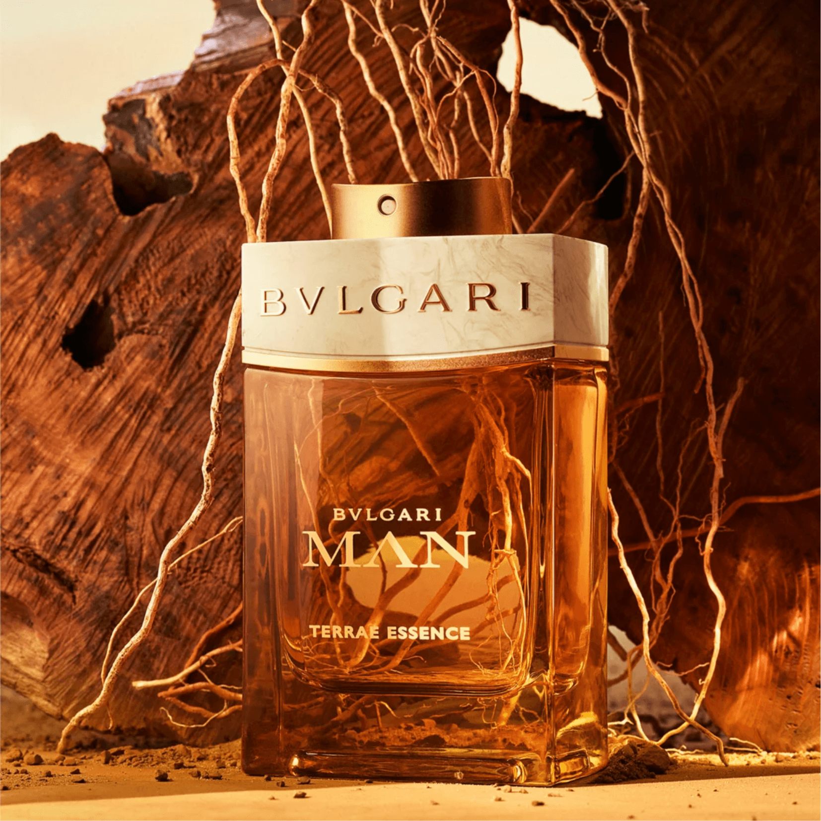 Bvlagri Bvlgari Man Terrae Essence