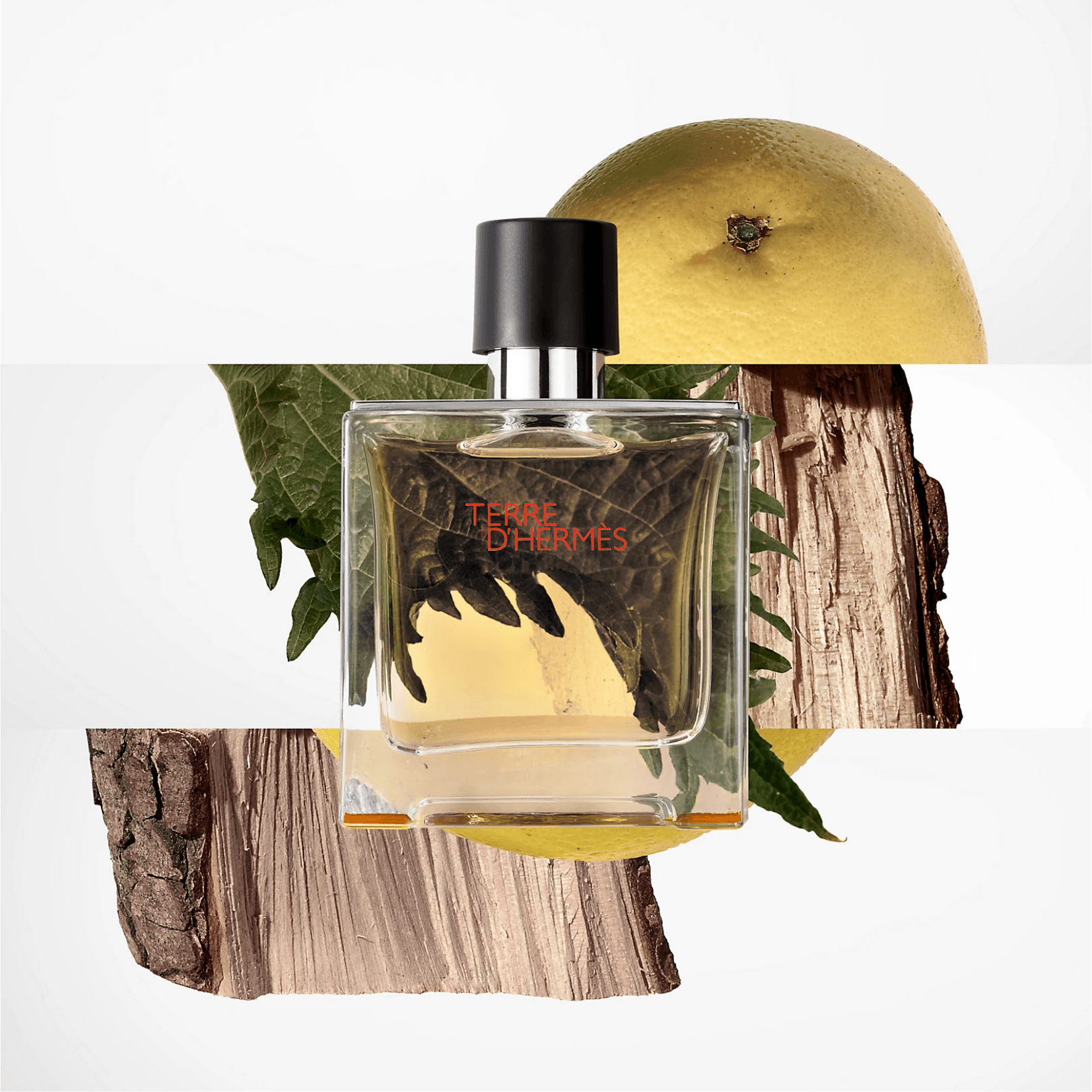 Hermes Terre de Hermes Pure Parfum