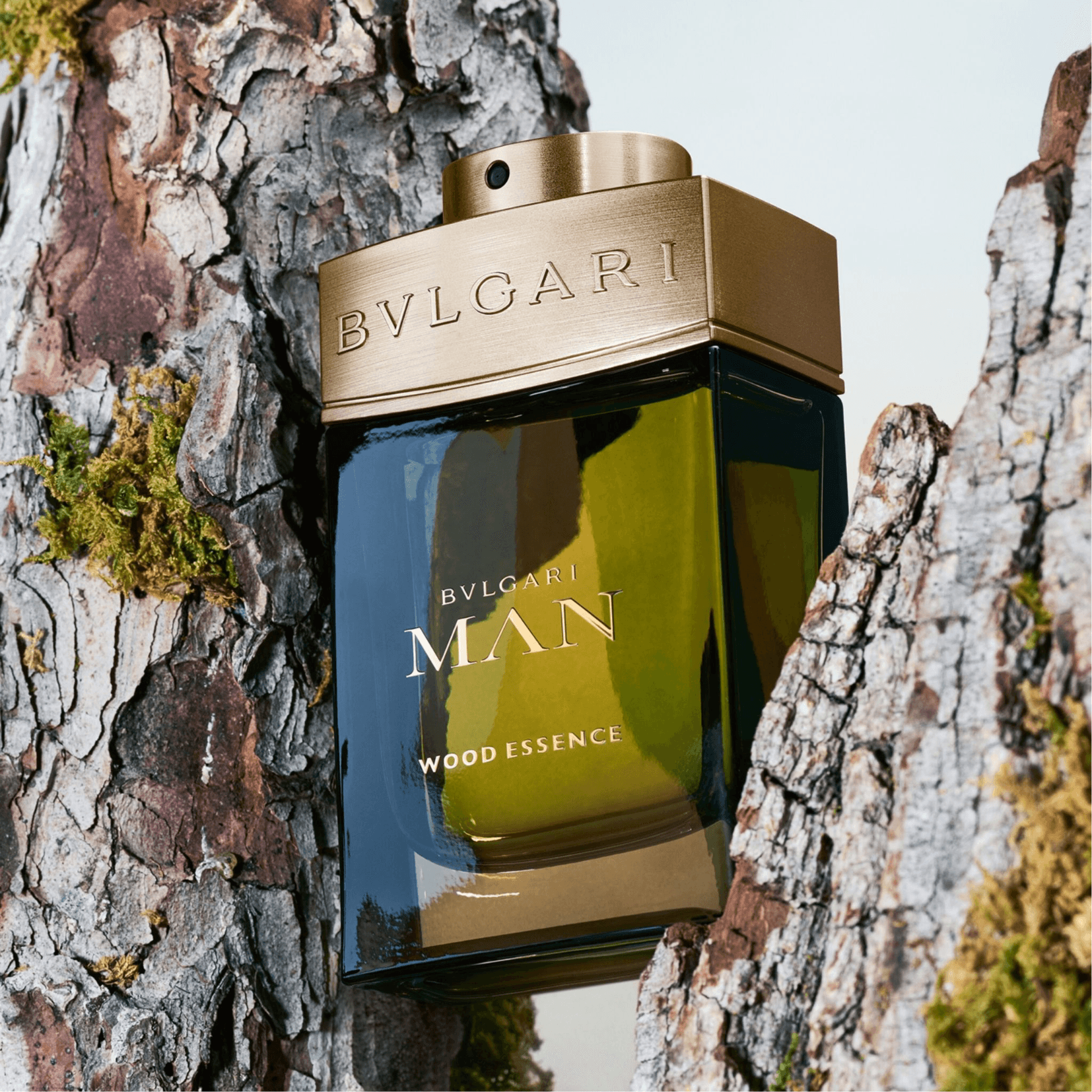 Bvlagri Bvlgari Wood Essence